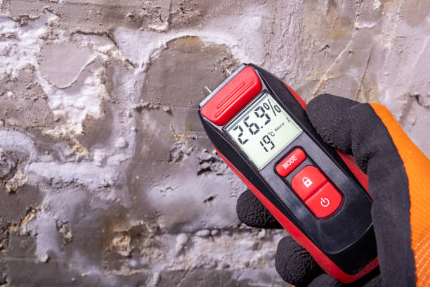 Best Mold Removal Near Me  in Utica, MI