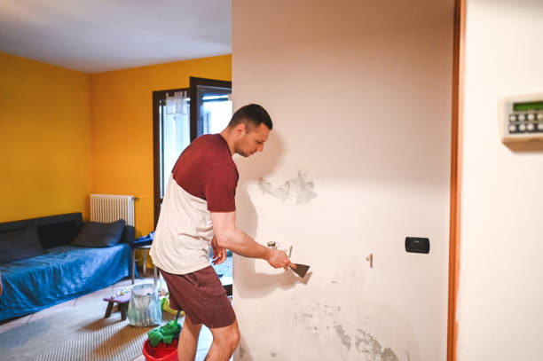 Best Home Mold Removal  in Utica, MI